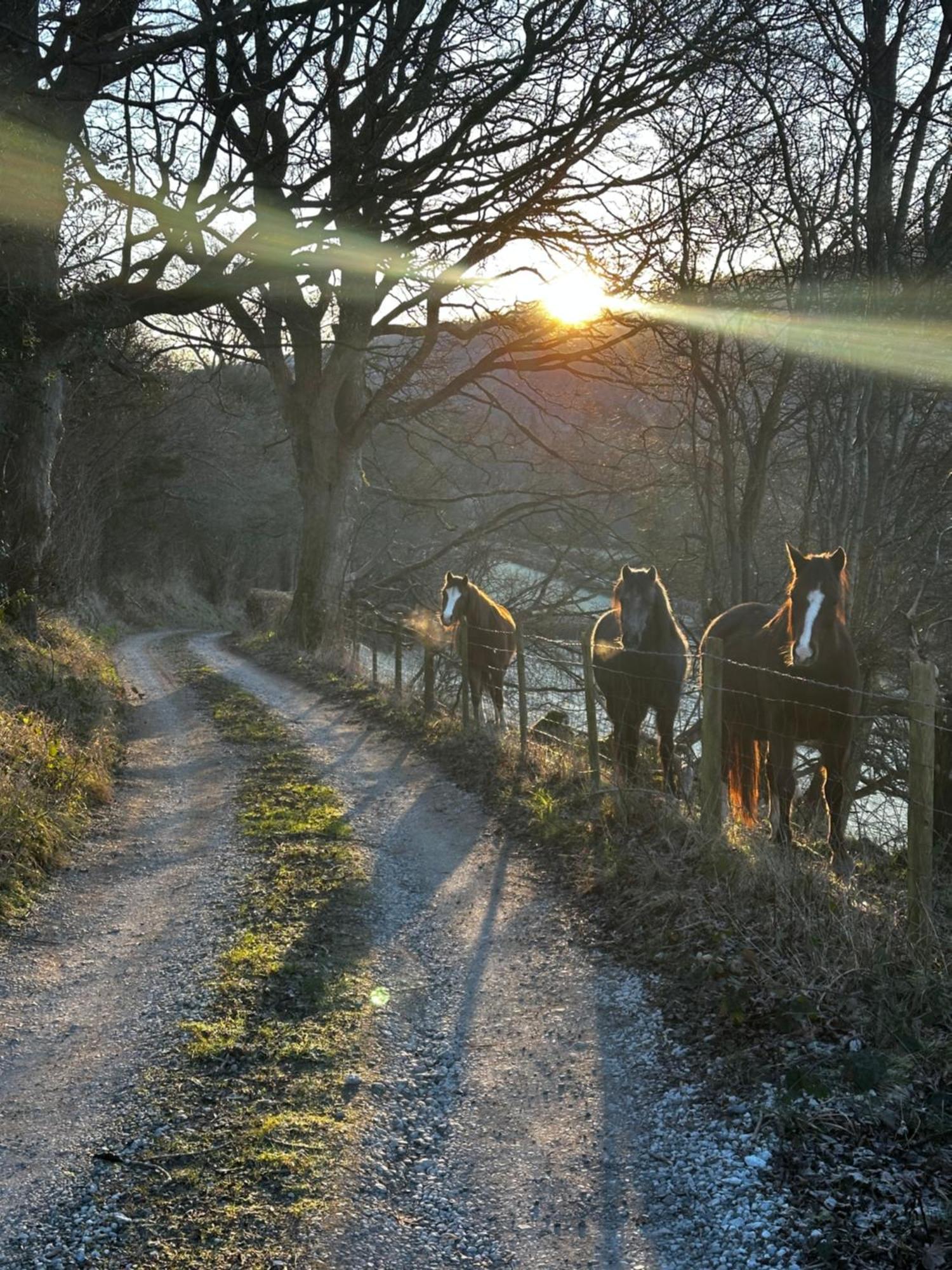Bed and Breakfast The Cowshed Llangollen Esterno foto